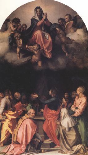 Andrea del Sarto Assumption of the Virgin (nn03) Spain oil painting art